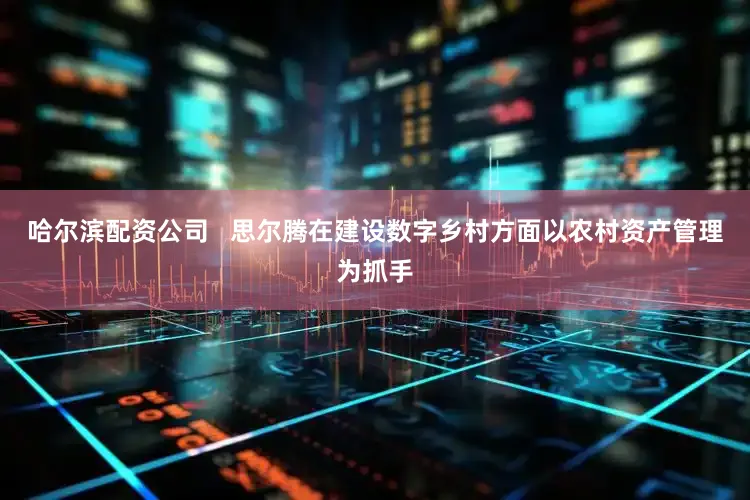 哈尔滨配资公司   思尔腾在建设数字乡村方面以农村资产管理为抓手