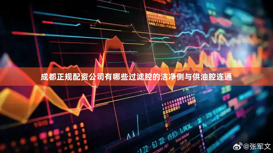 成都正规配资公司有哪些过滤腔的洁净侧与供油腔连通