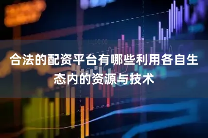 合法的配资平台有哪些利用各自生态内的资源与技术