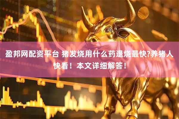 盈邦网配资平台 猪发烧用什么药退烧最快?养猪人快看！本文详细解答！