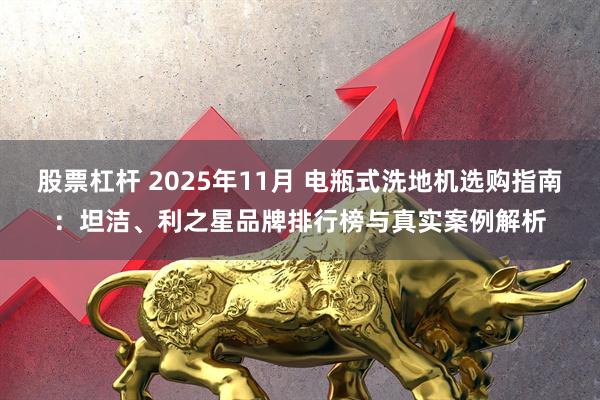 股票杠杆 2025年11月 电瓶式洗地机选购指南：坦洁、利之星品牌排行榜与真实案例解析