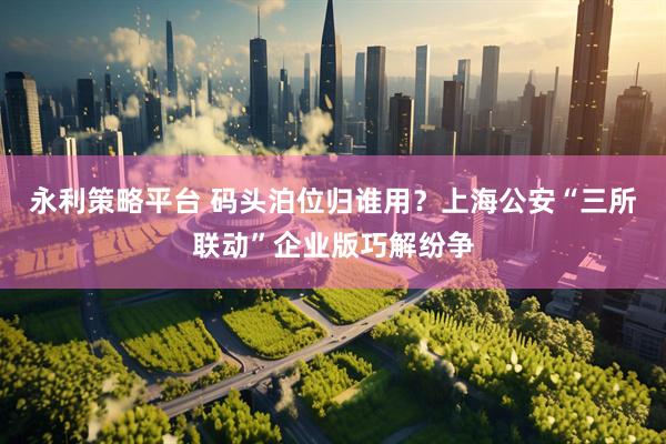 永利策略平台 码头泊位归谁用？上海公安“三所联动”企业版巧解纷争